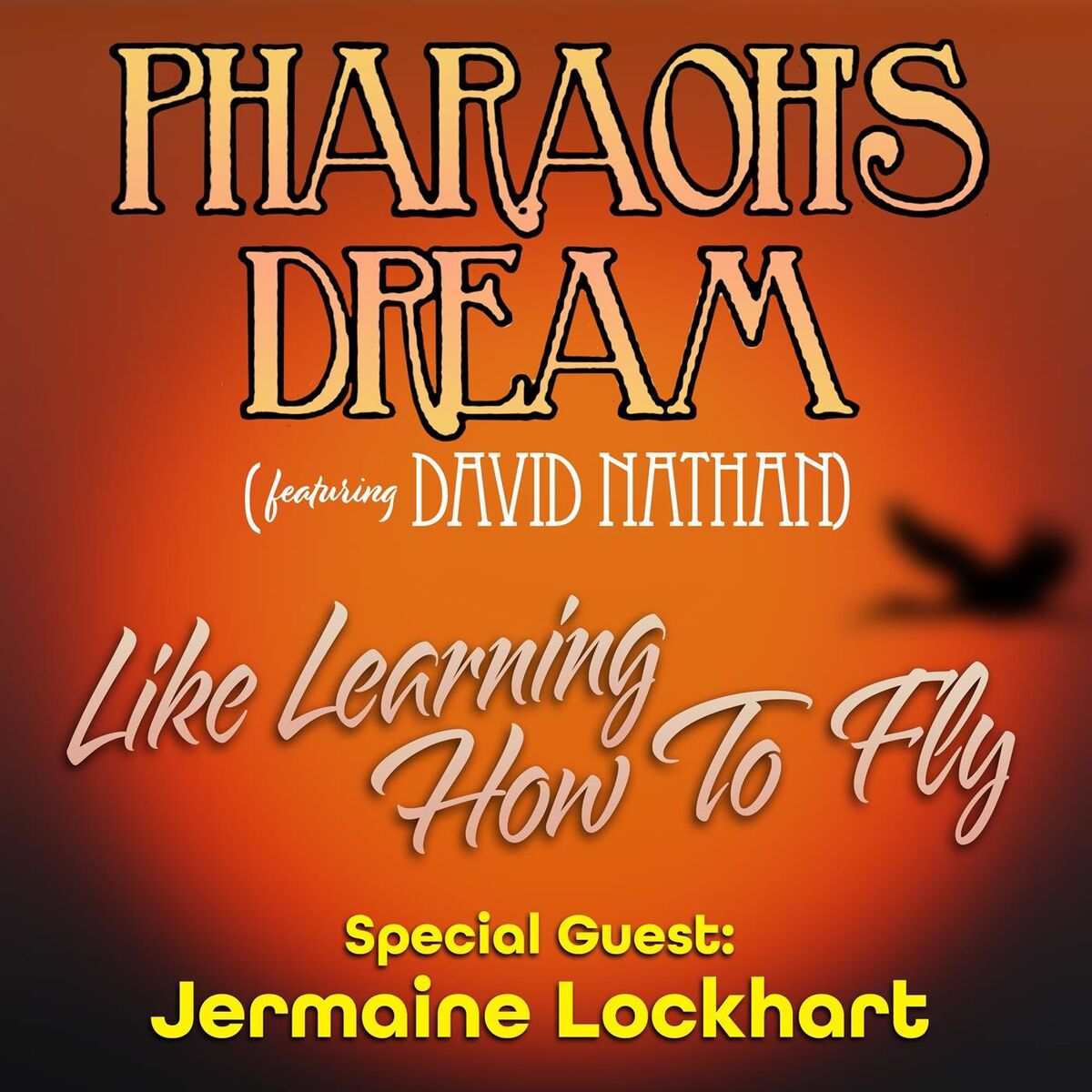 Album cover of Like Learning How to Fly (feat. David Nathan & Jermaine Lockhart)