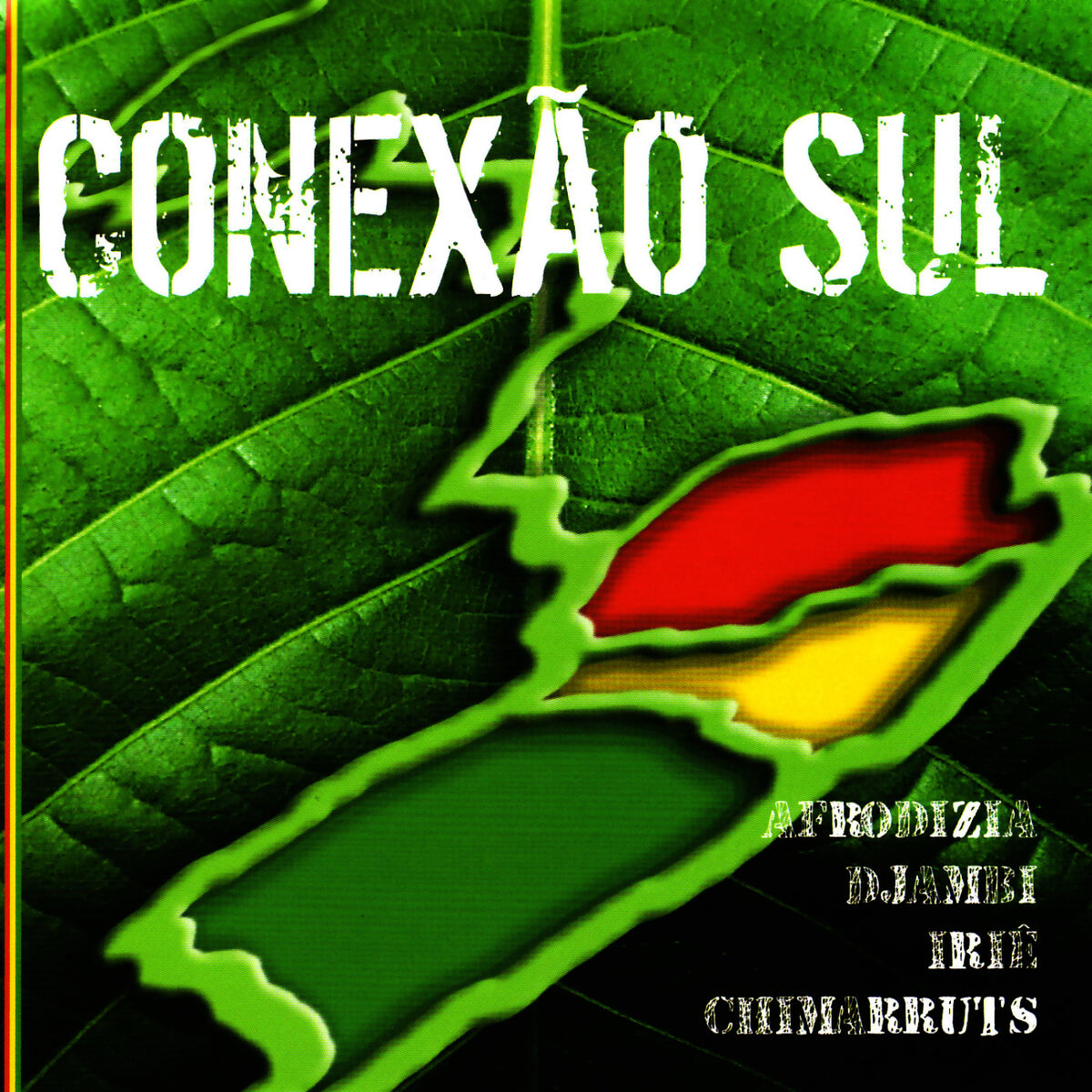 Album picture of Conexão Sul