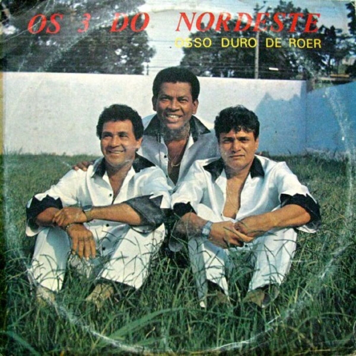 Album cover of Osso Duro de Roer