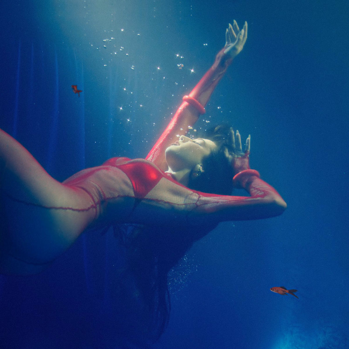 Album cover of H2O