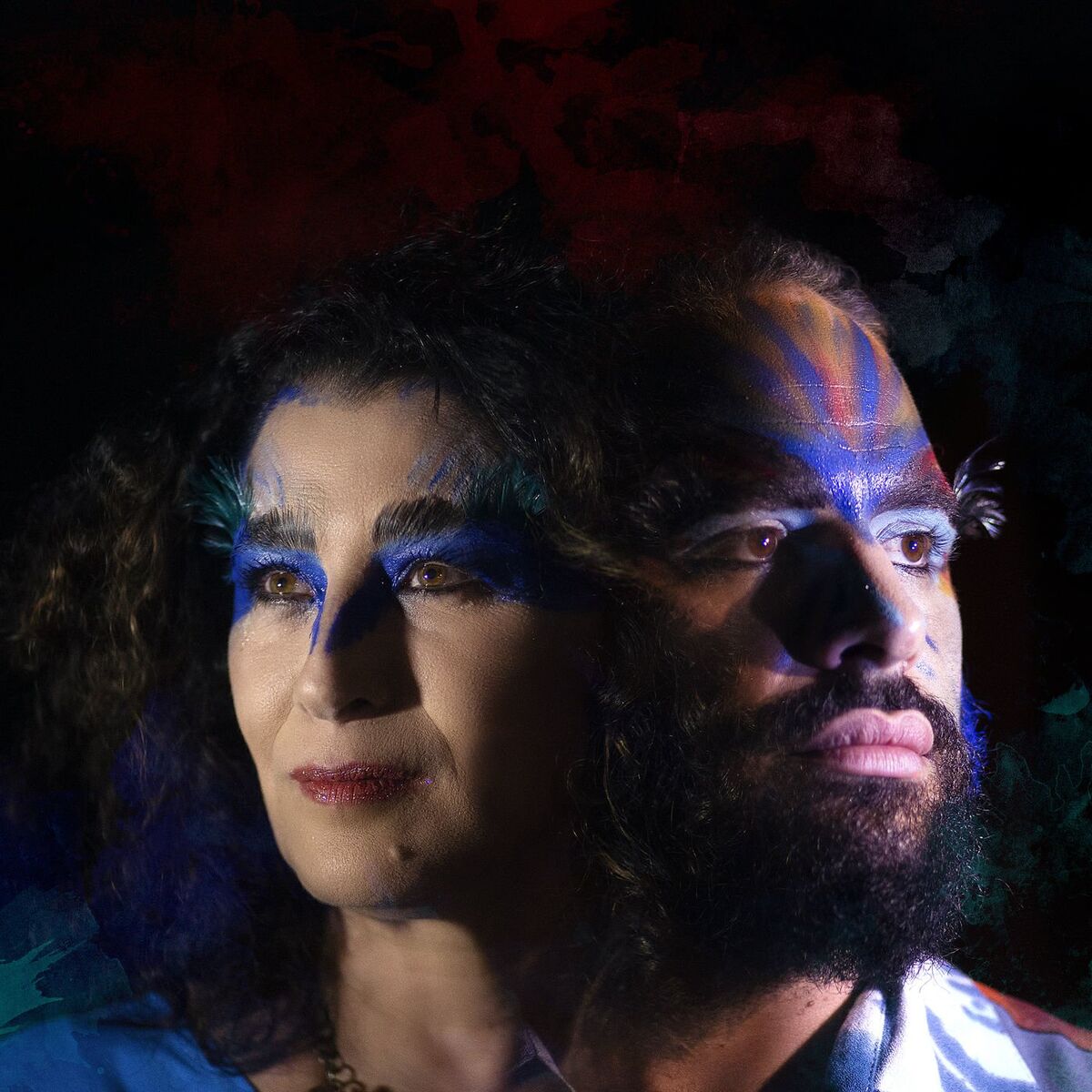 Album cover of PASSARINHADEIRA