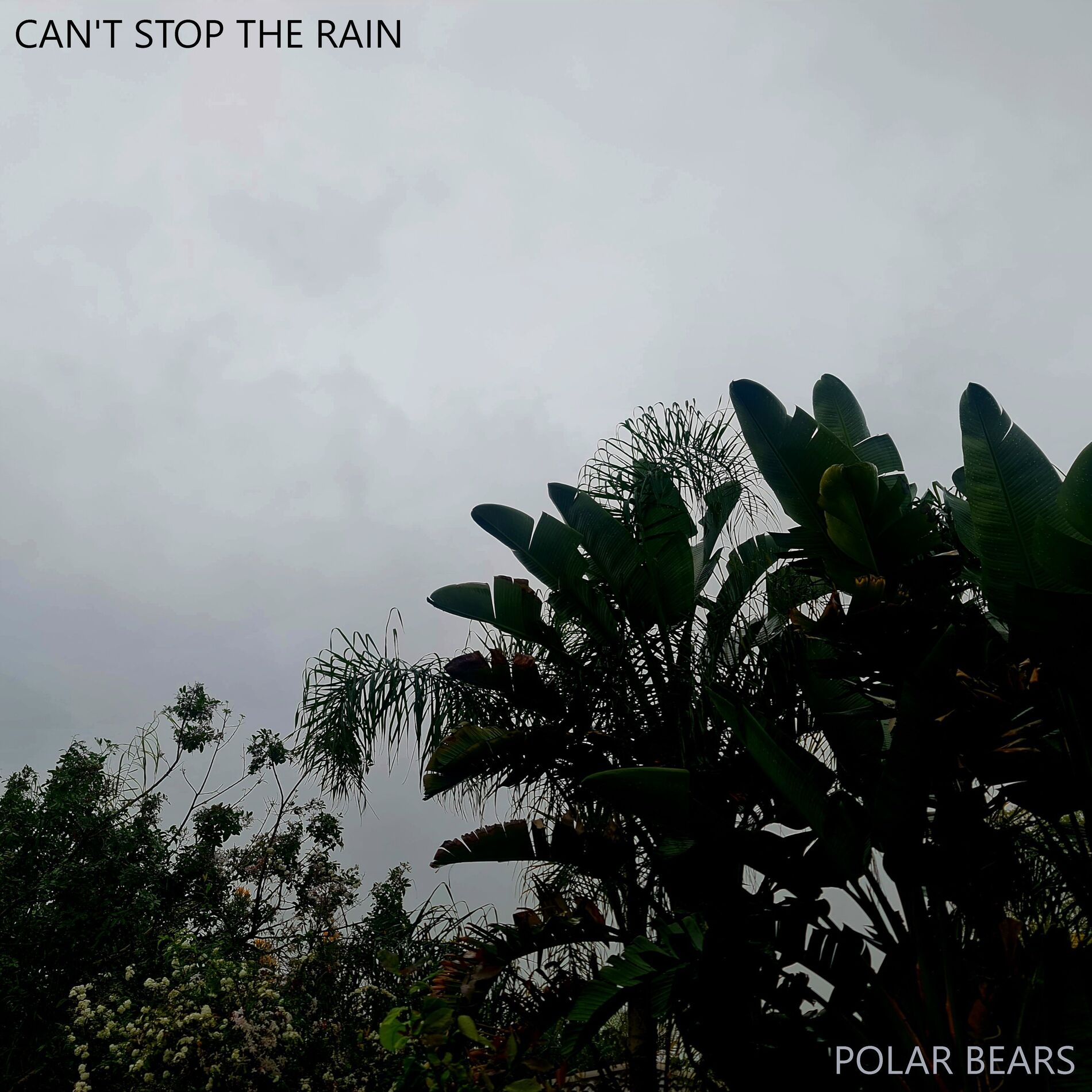 Album cover of Can't Stop The Rain