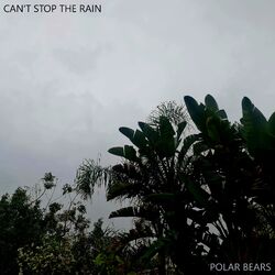 Cover of Can't Stop The Rain