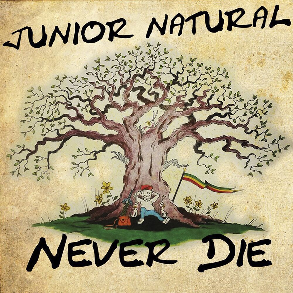 Picture of Never Die