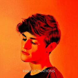 Cover of Hallucinations
