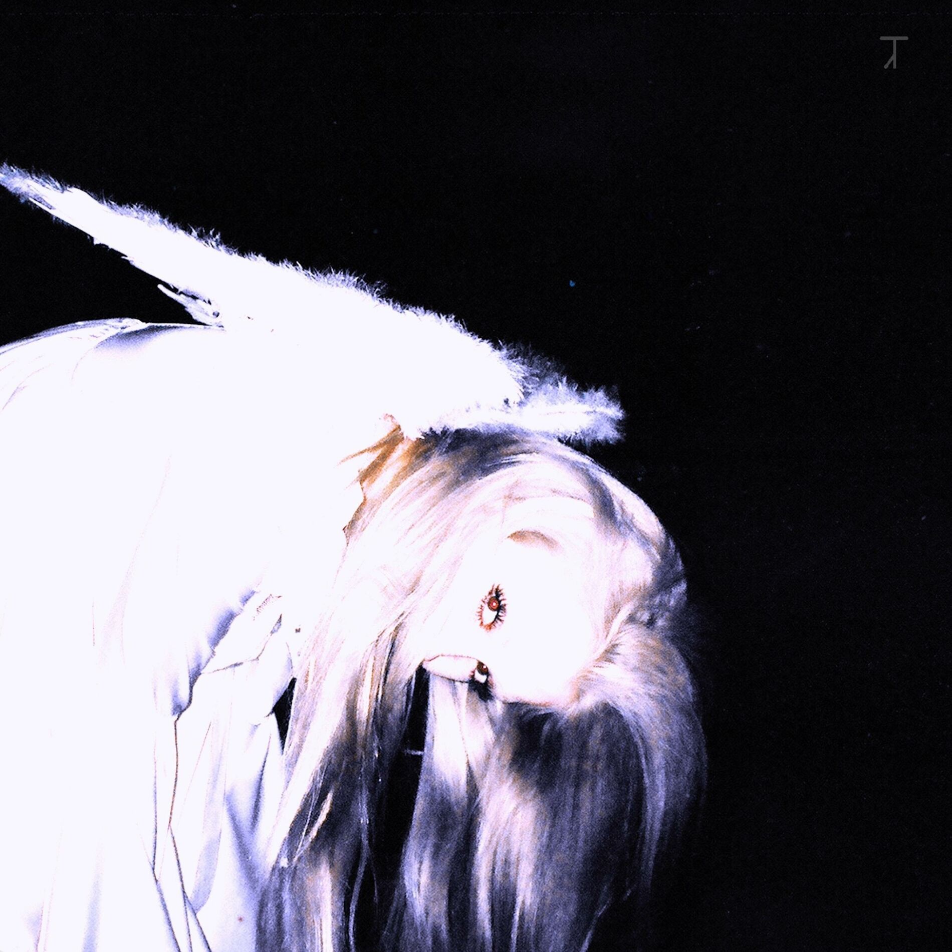 Album cover of Reincarnate