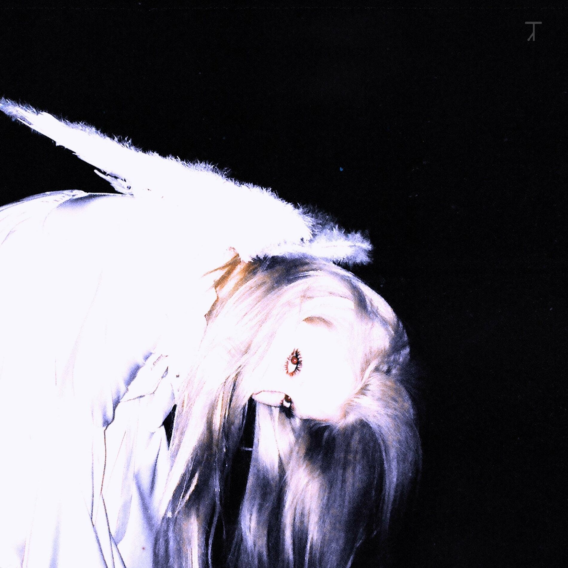 Album cover of Reincarnate