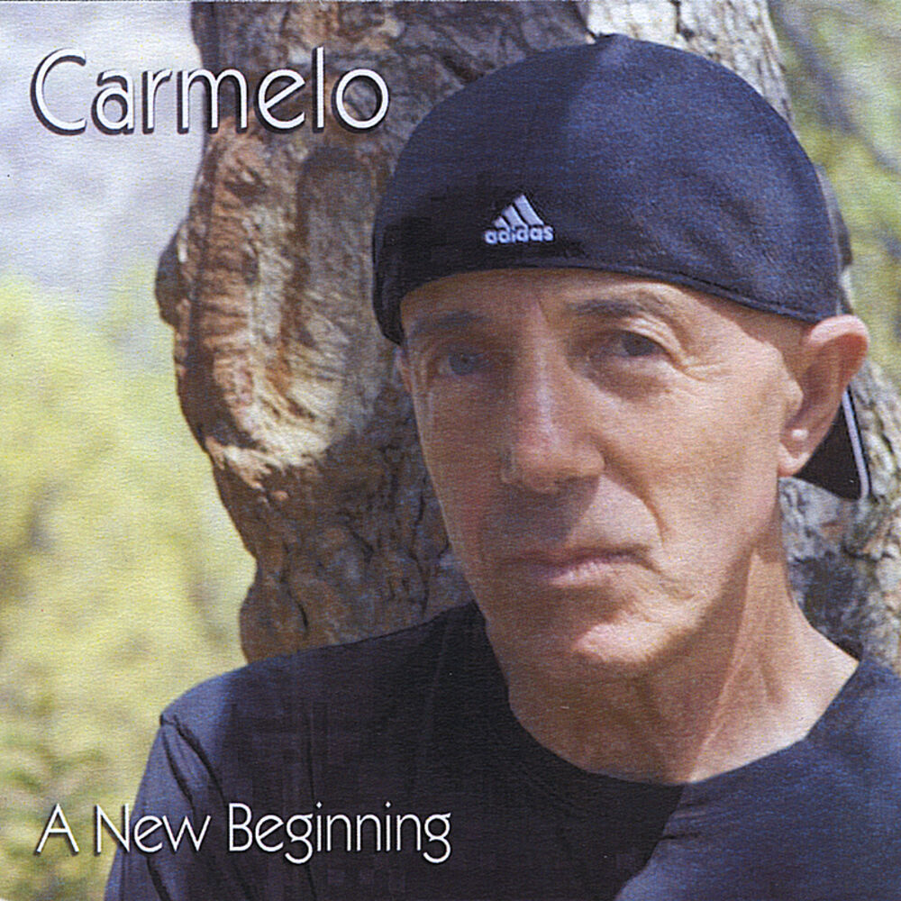 Picture of A New Beginning