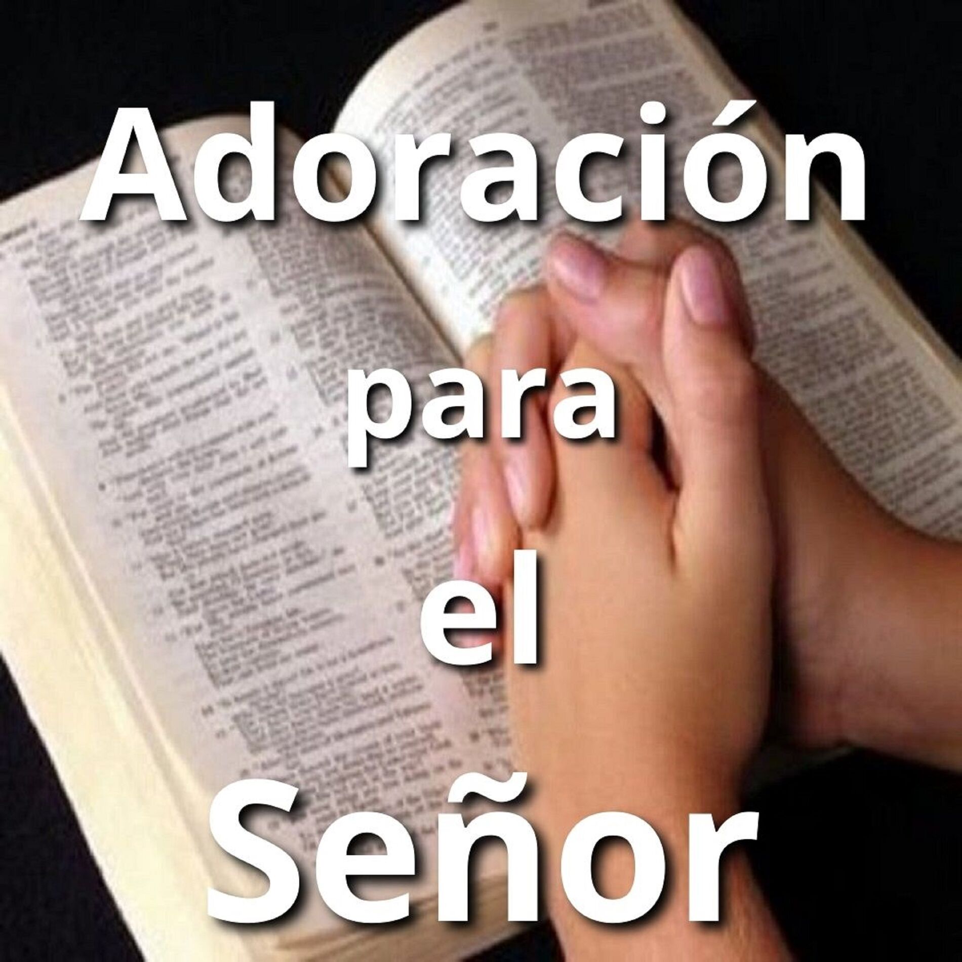 Album cover of Adoración para el Señor