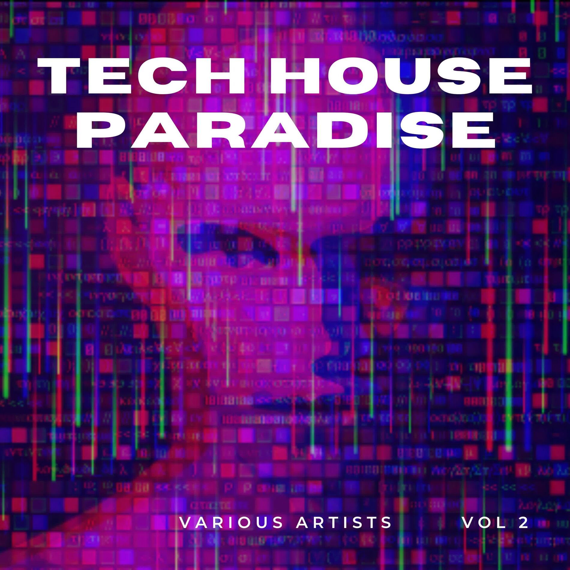 Album cover of Tech House Paradise, Vol. 2