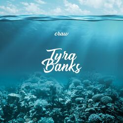 Cover of Tyra Banks