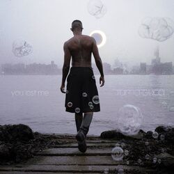 Cover of You Lost Me