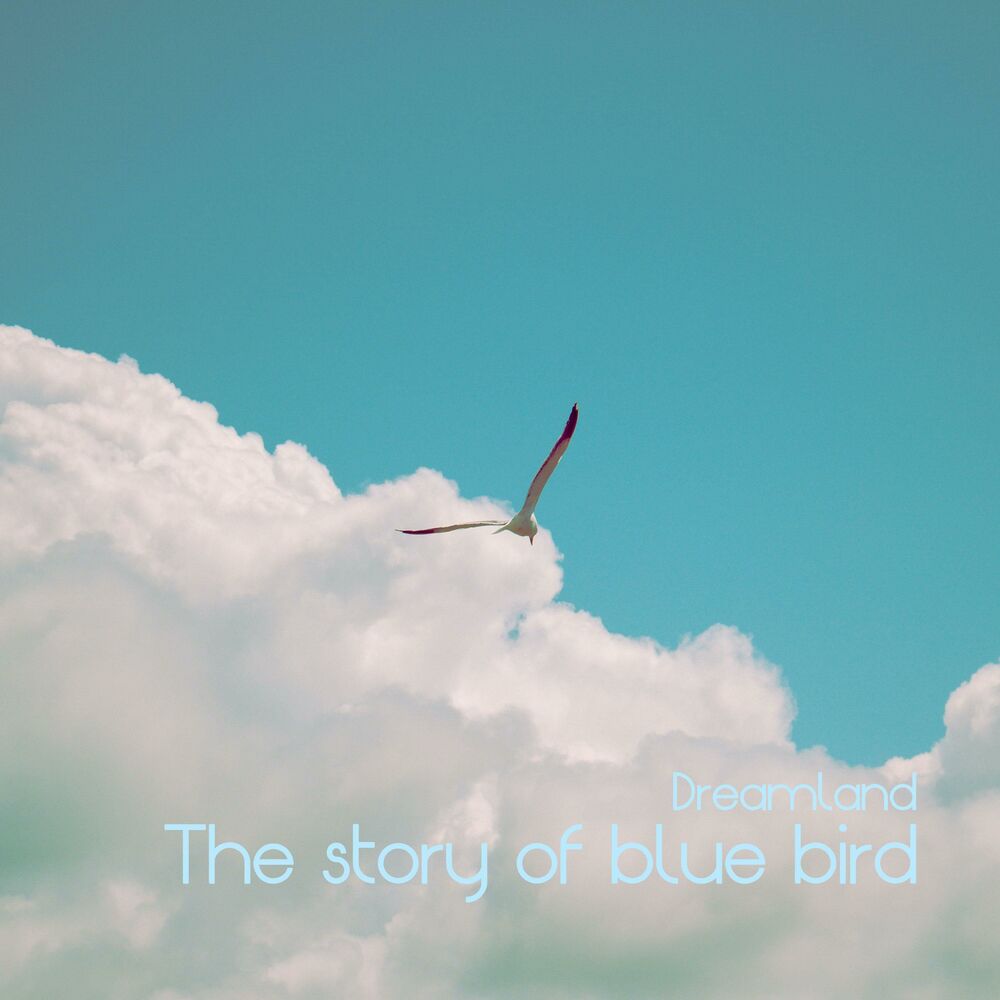 Picture of The story of blue bird