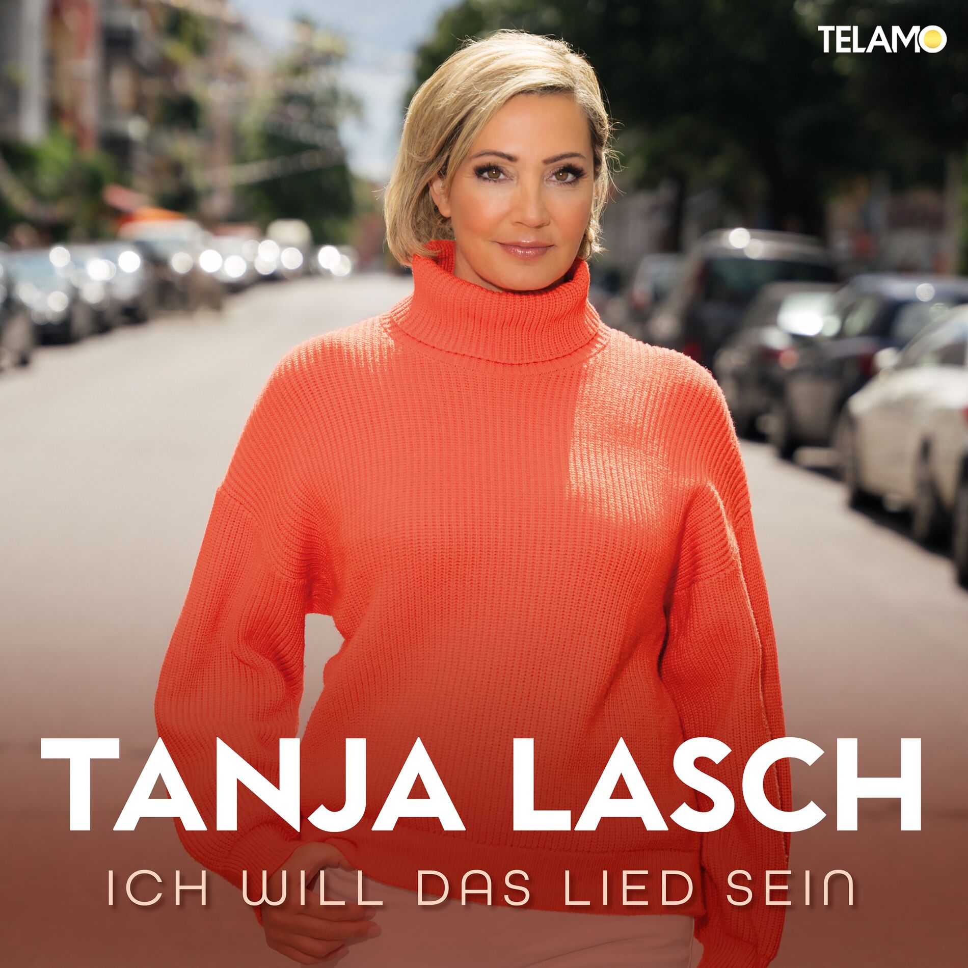Album cover of Ich will das Lied sein