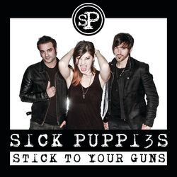 Cover of Stick To Your Guns