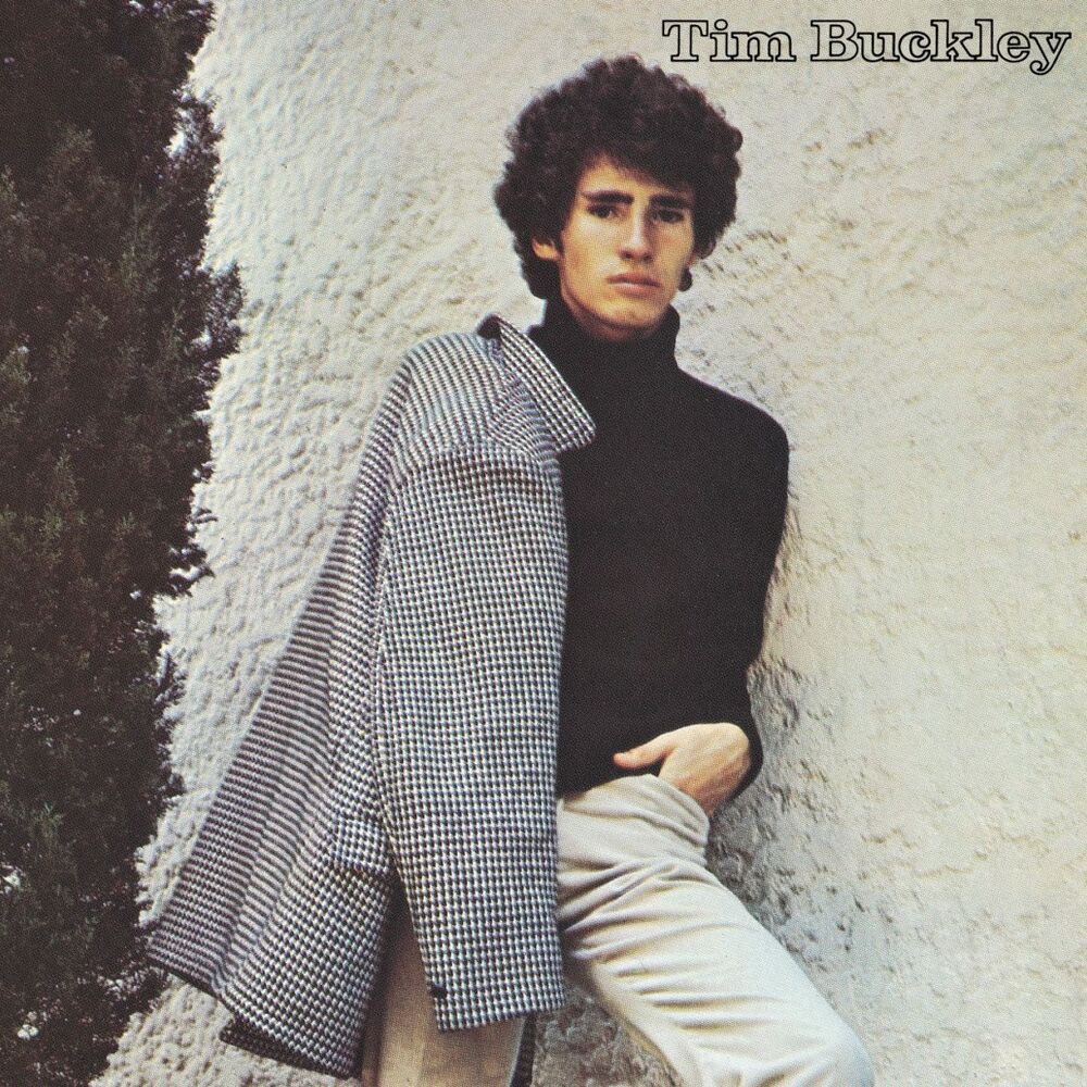 Picture of Tim Buckley