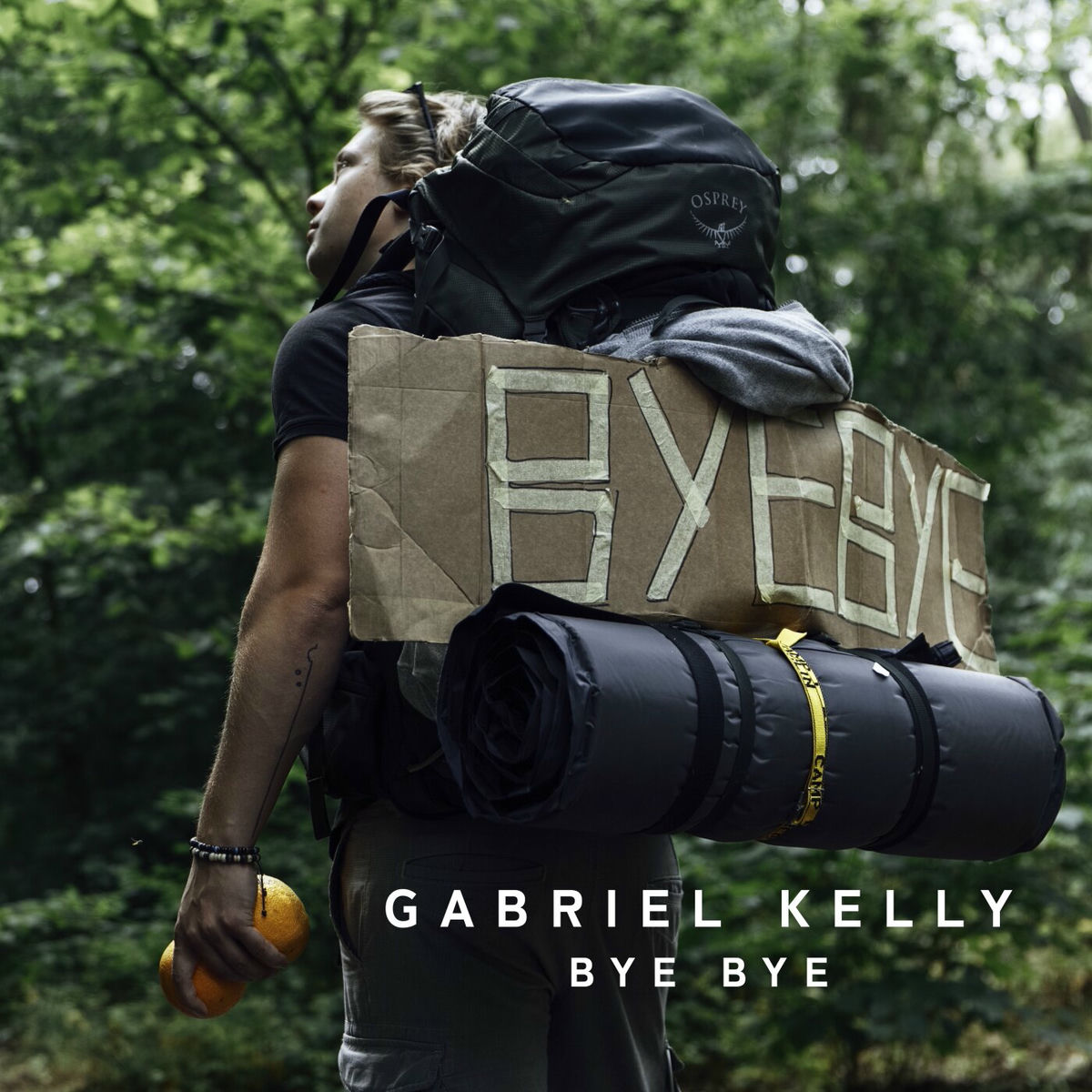 Album cover of Bye Bye