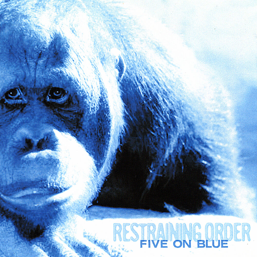 Picture of Five on Blue