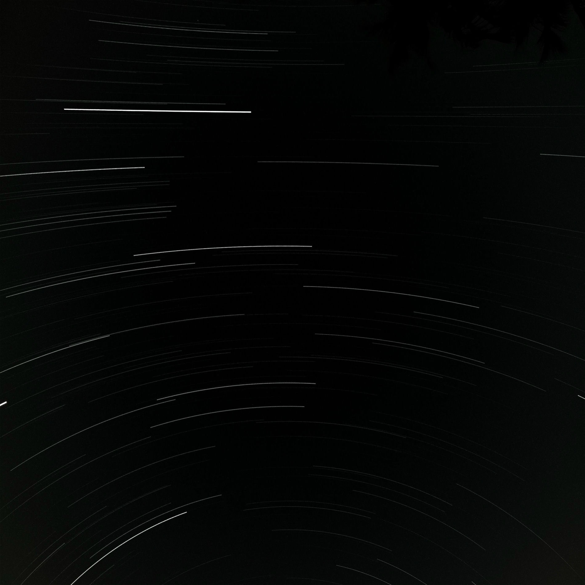 Album cover of Fallen Kingdom