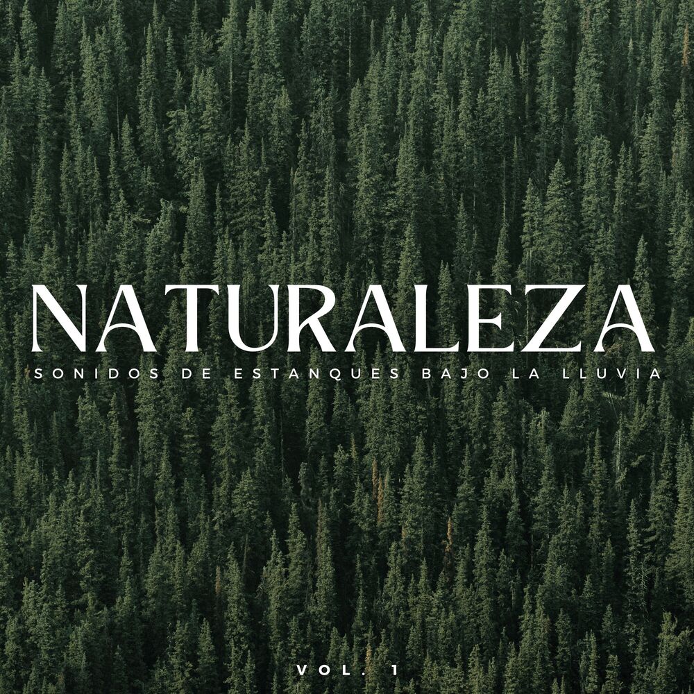 Picture of Naturaleza: Sonidos De Estanques Bajo La Lluvia Vol. 1