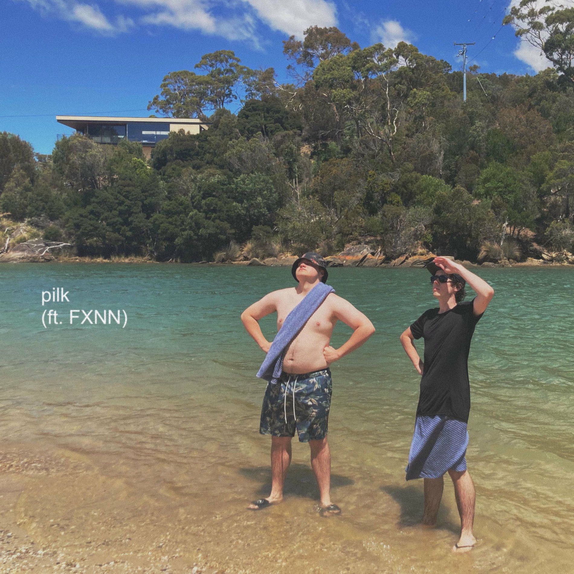 Album cover of pilk (feat. FXNN)
