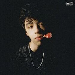 Cover of 100 Layers