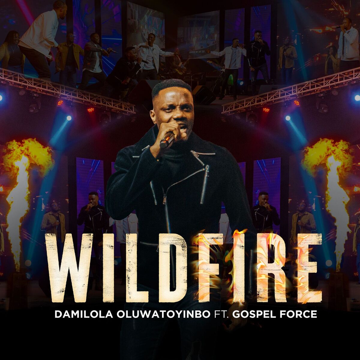 Album cover of Wildfire