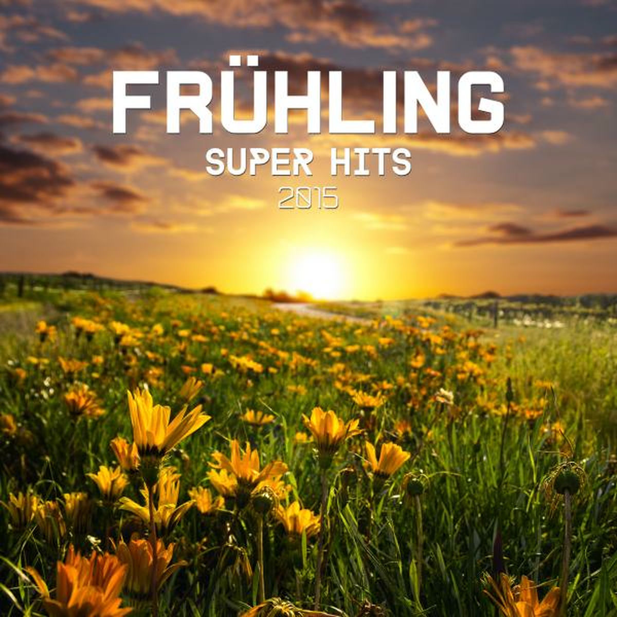 Album cover of Frühling Super Hits 2015
