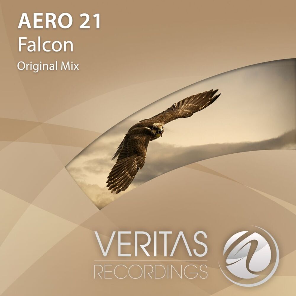 Picture of Falcon