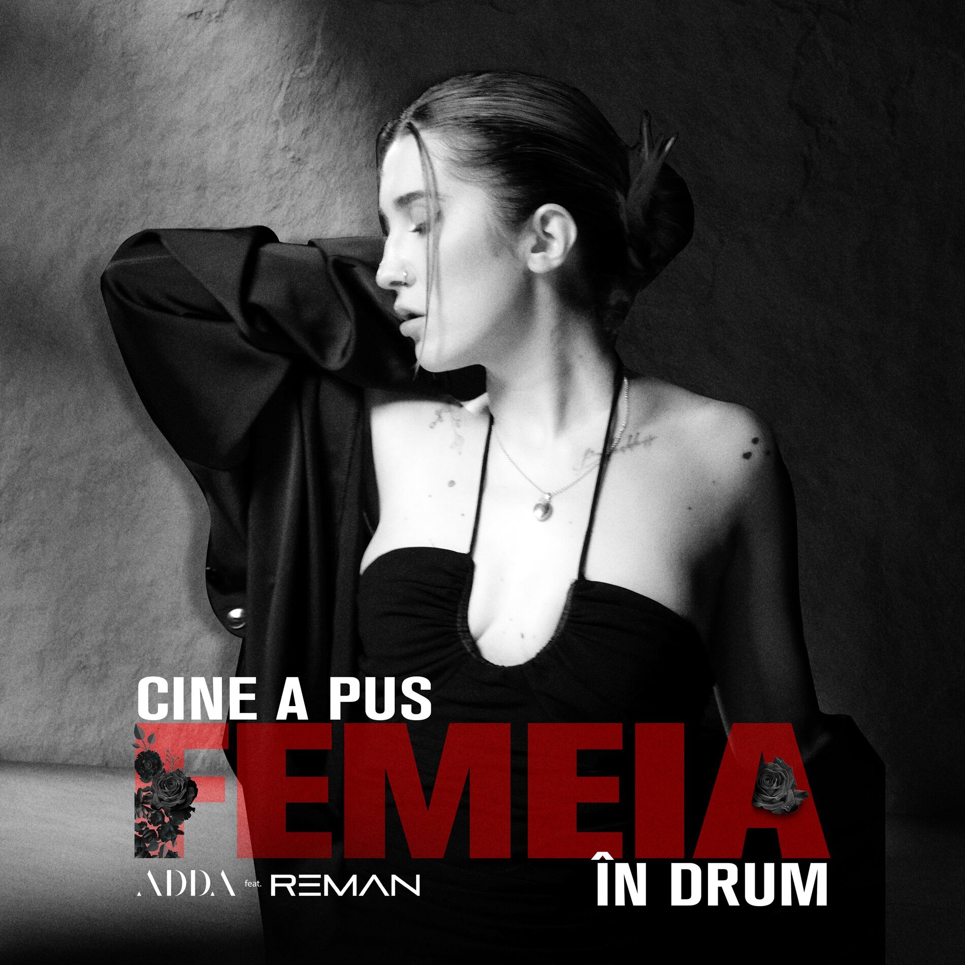 Album cover of Cine a pus femeia în drum