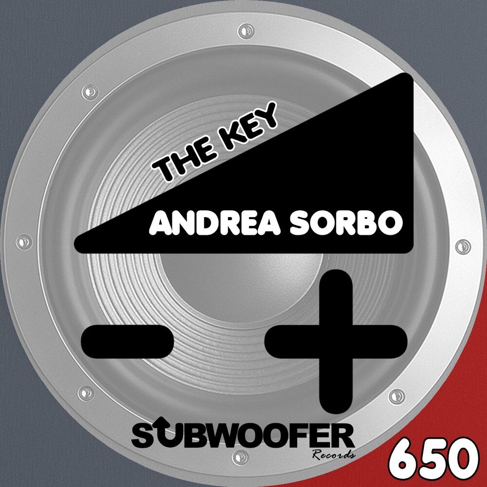 Picture of The Key