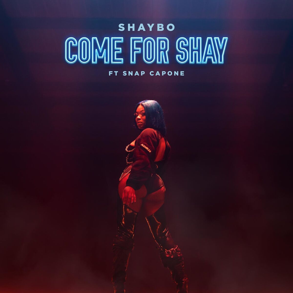 Album cover of Come for Shay