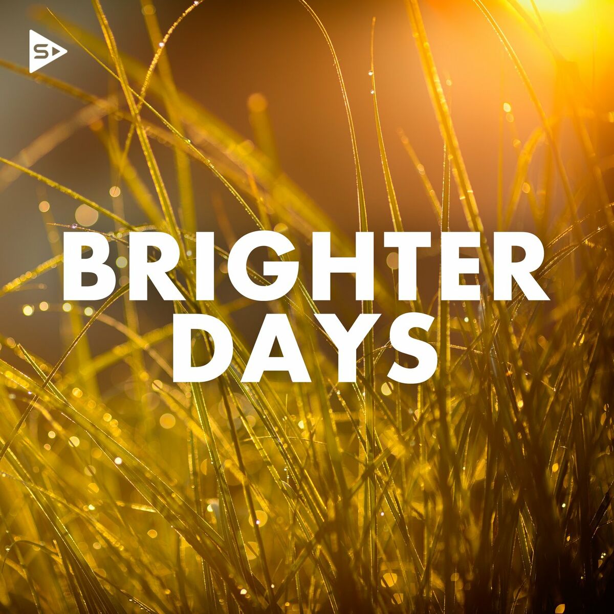 Album cover of Brighter Days