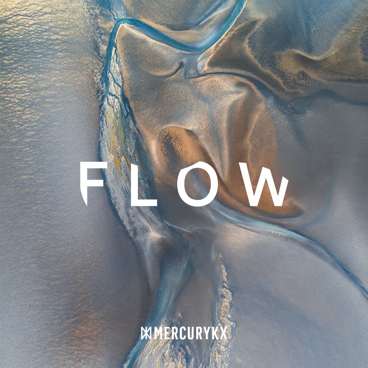 Album cover of FLOW