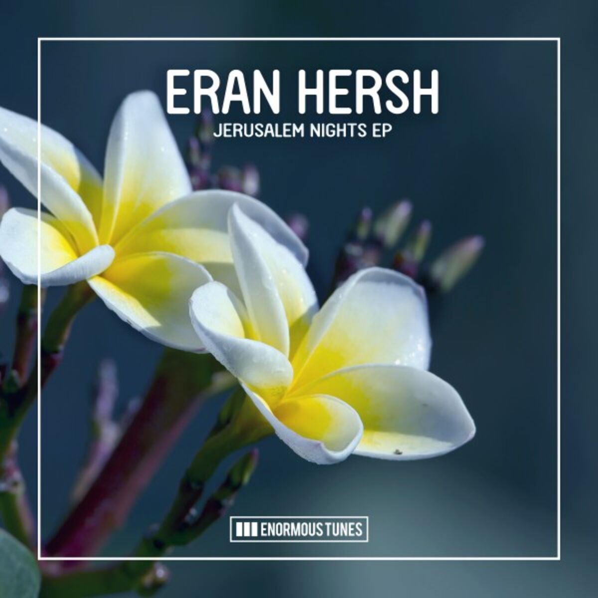 Album cover of Jerusalem Nights