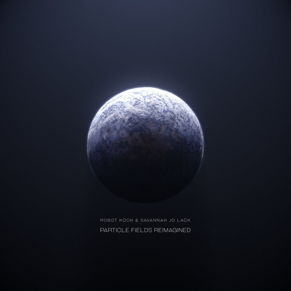 Picture of Particle Fields Reimagined