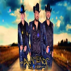 Cover of En Vivo, Puertas De Sol.