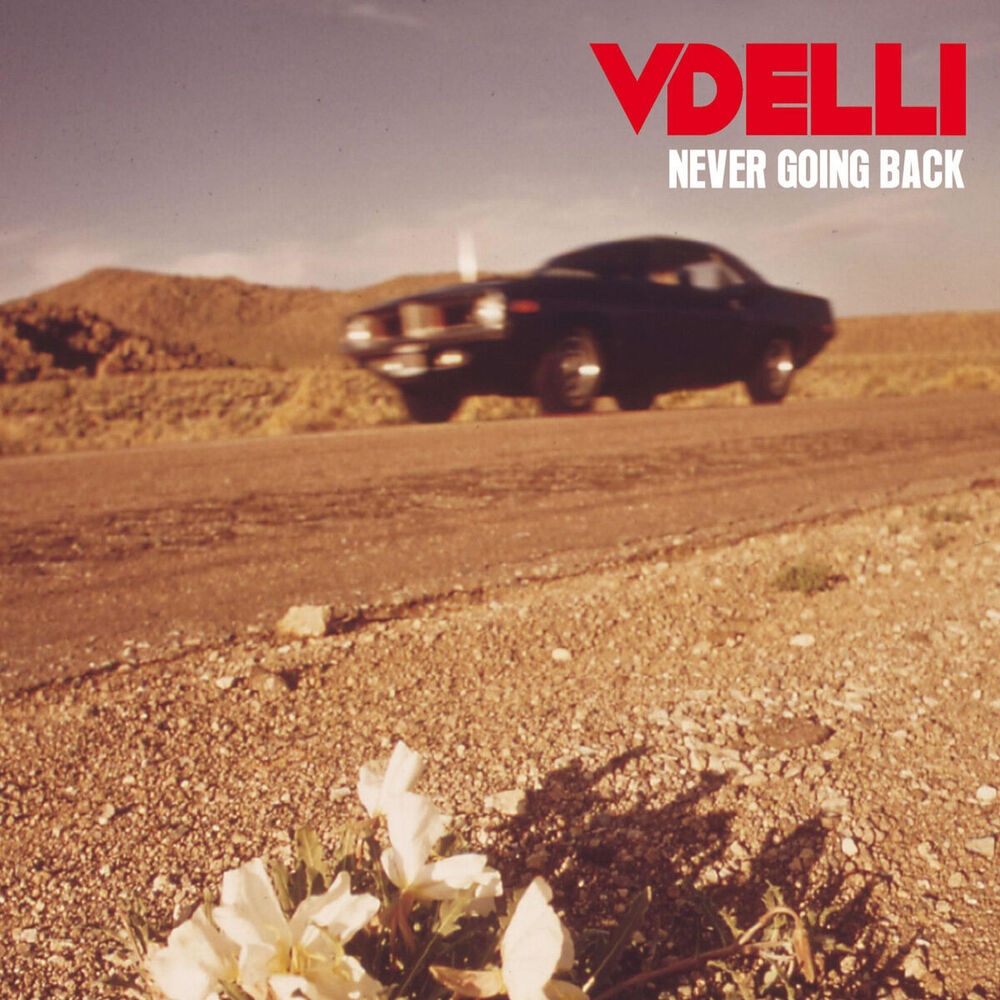 Picture of Never Going Back