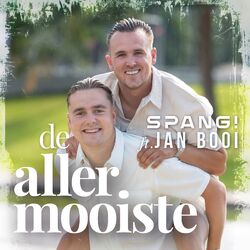 Cover of De Allermooiste