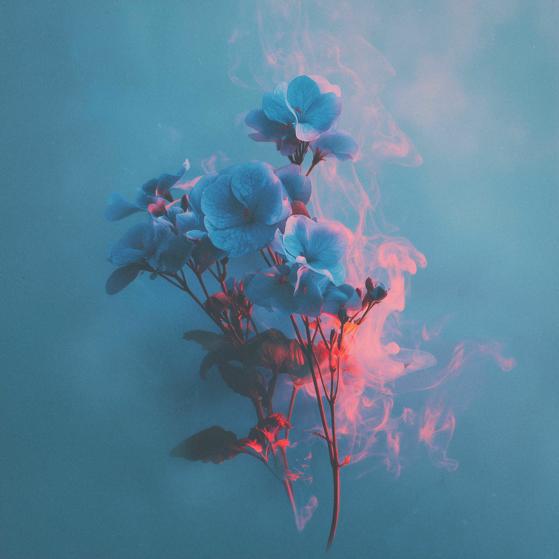 Album cover of Feel Good (feat. Léna)