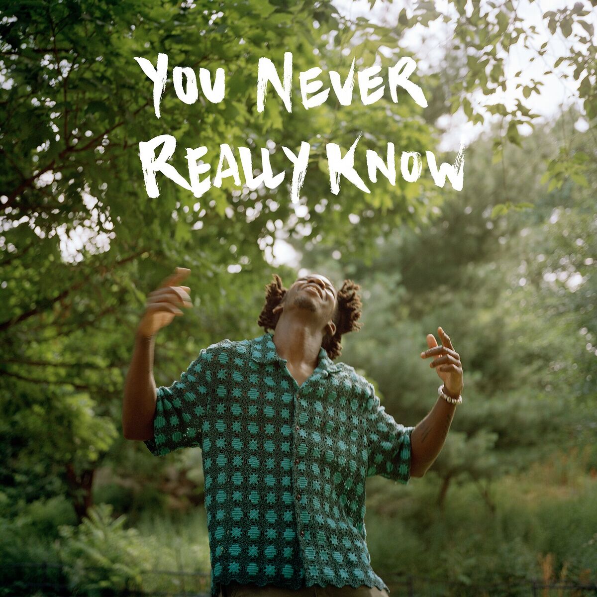 Album cover of You Never Really Know