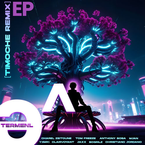 Timoche (Remixes)