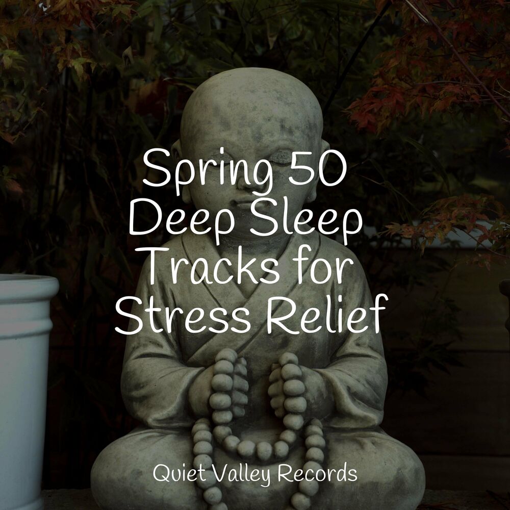 Picture of Spring 50 Deep Sleep Tracks for Stress Relief