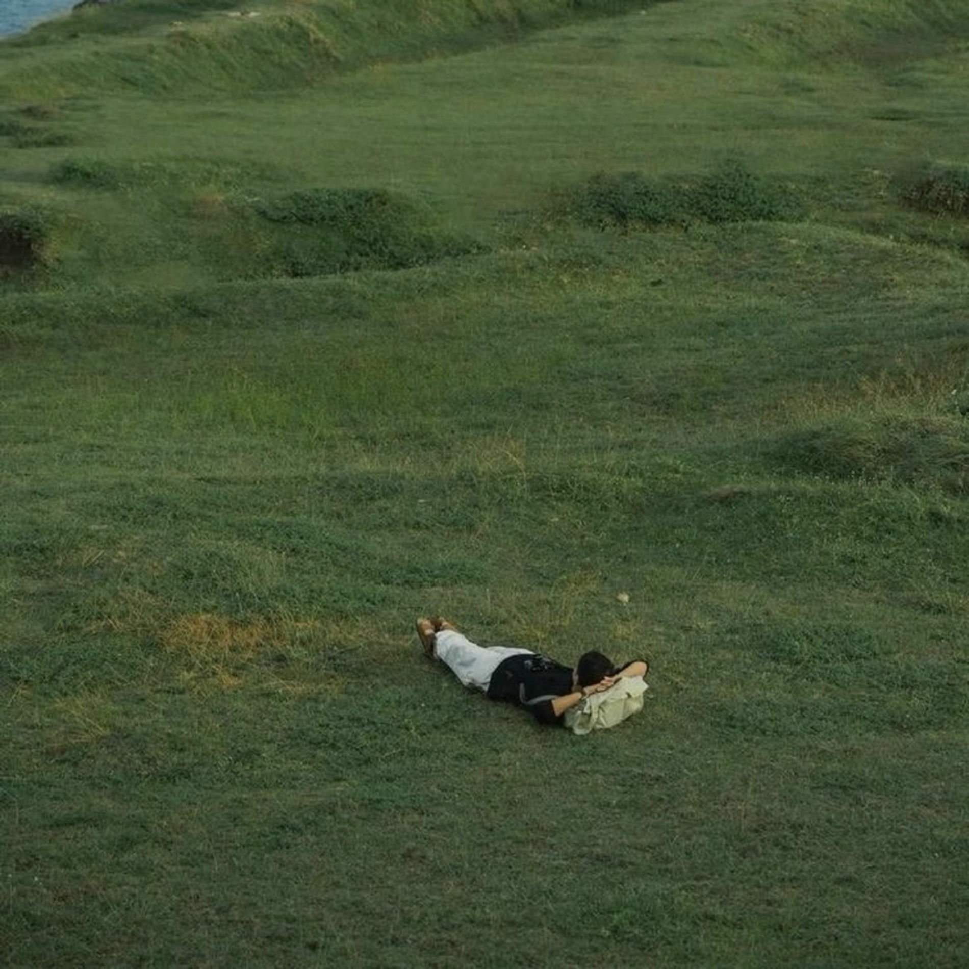 Album cover of Shining