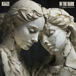 Cover of In The Dark