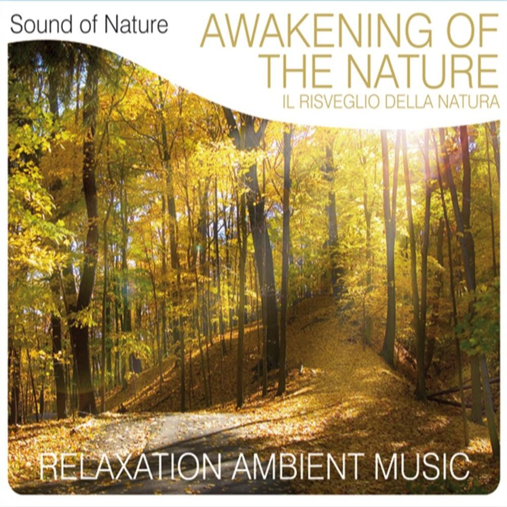Picture of Awakening of the Nature