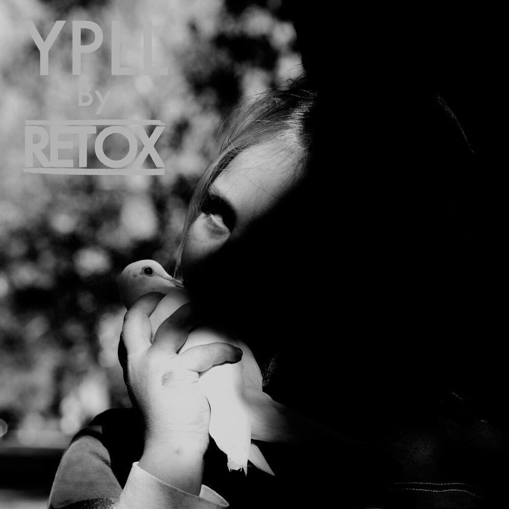 Picture of YPLL
