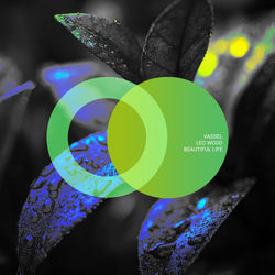 Cover of Beautiful Life by undefined