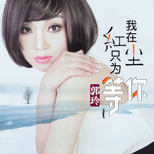 我在红尘只为等你 (DJ何鹏版)