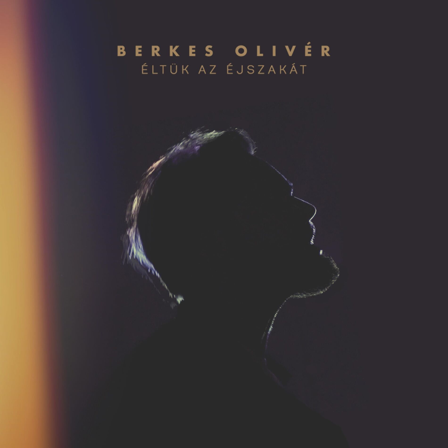 Album cover of Éltük az éjszakát